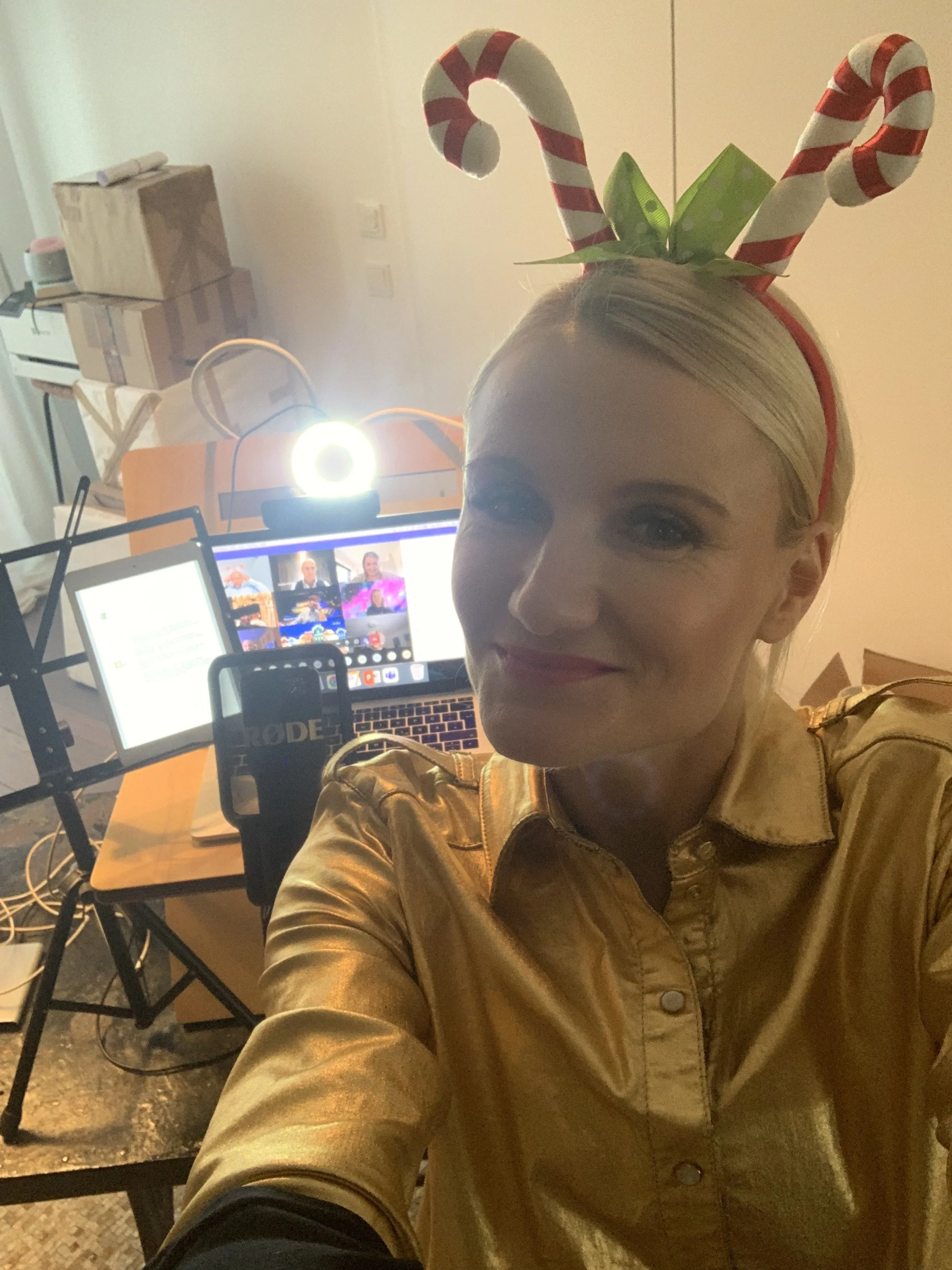 EnBW virtuelle Weihnachtsfeier · Online-Vortrag Motivation & Veränderung · Impression 02